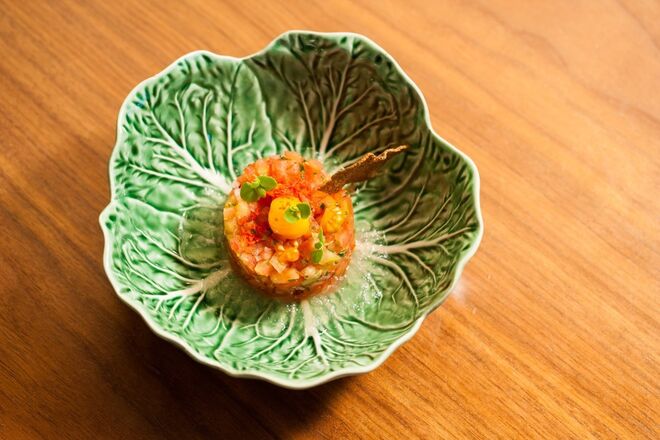 Tártaro de tomate e orégãos