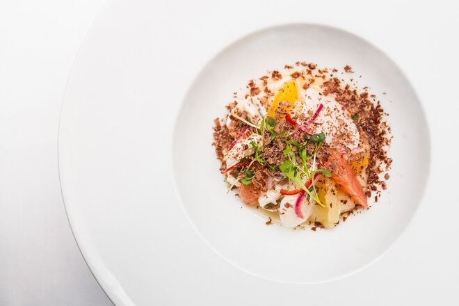 Entrada: Ceviche de Camarão e vieira com puré de aipo e citrinos com chocolate