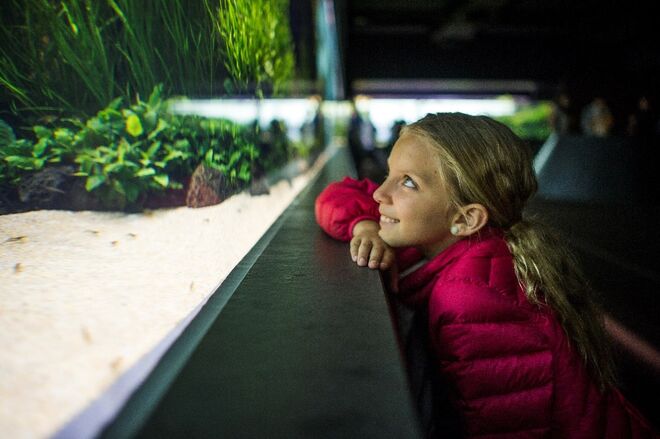 Exposição Florestas Submersas by Takashi Amano no Oceanário de Lisboa