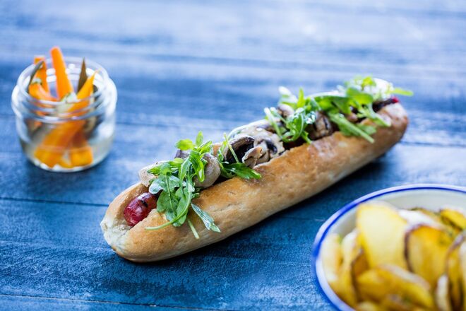 Cachorro Zé da Horta