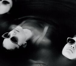 Calvin Klein Collection Eyewear