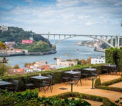 Afternoon Sensations by Vitor Matos 