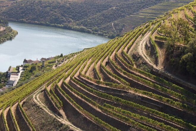 Real Companhia Velha