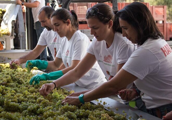 Real Companhia Velha