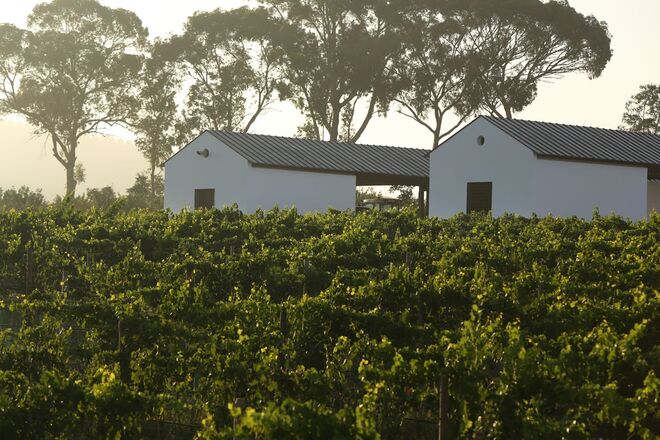 Torre de Palma Wine Hotel
