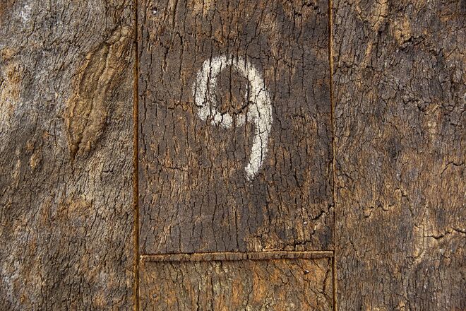 PELCOR FlagshipStore