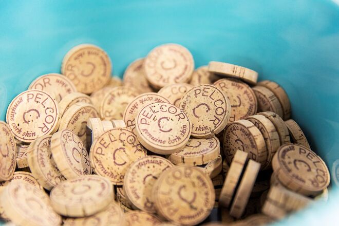 PELCOR FlagshipStore