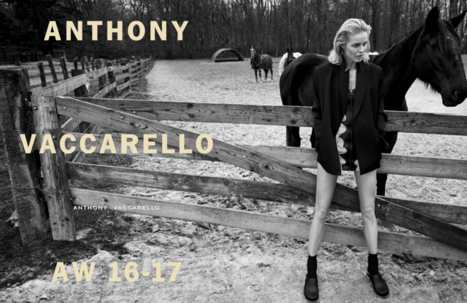 Anthony Vaccarello