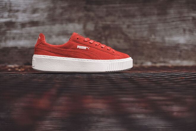 Puma (preço sob consulta)