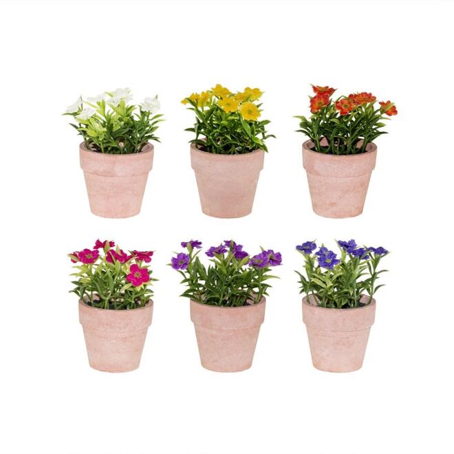 Arranjo Viva, €1,87 (cada)