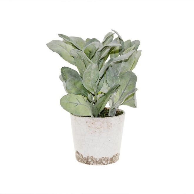 Arranjo Viva, €7,43