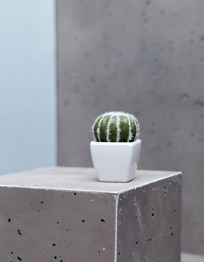 Cato Stradivarius, €4,95