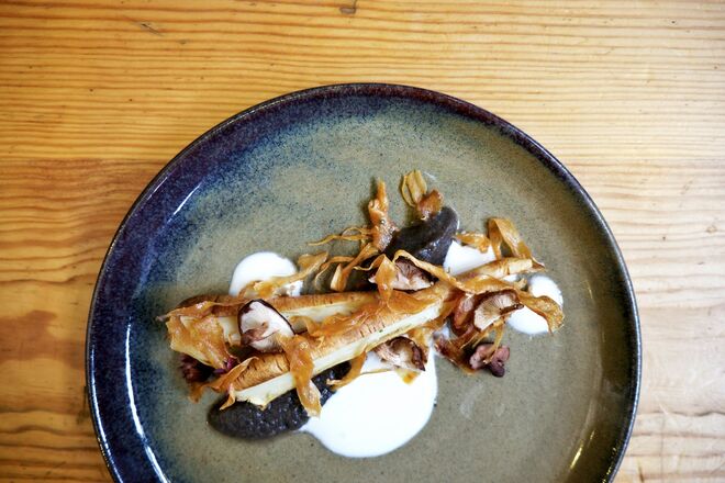 Raízes e Cogumelos