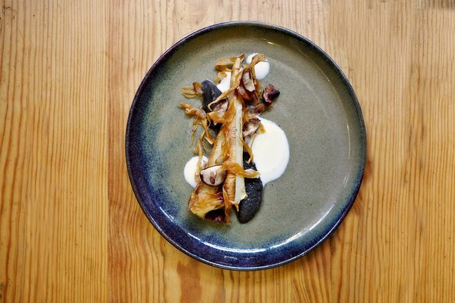 Raízes e Cogumelos