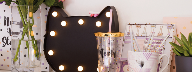 Gabriella Lindsey x Primark