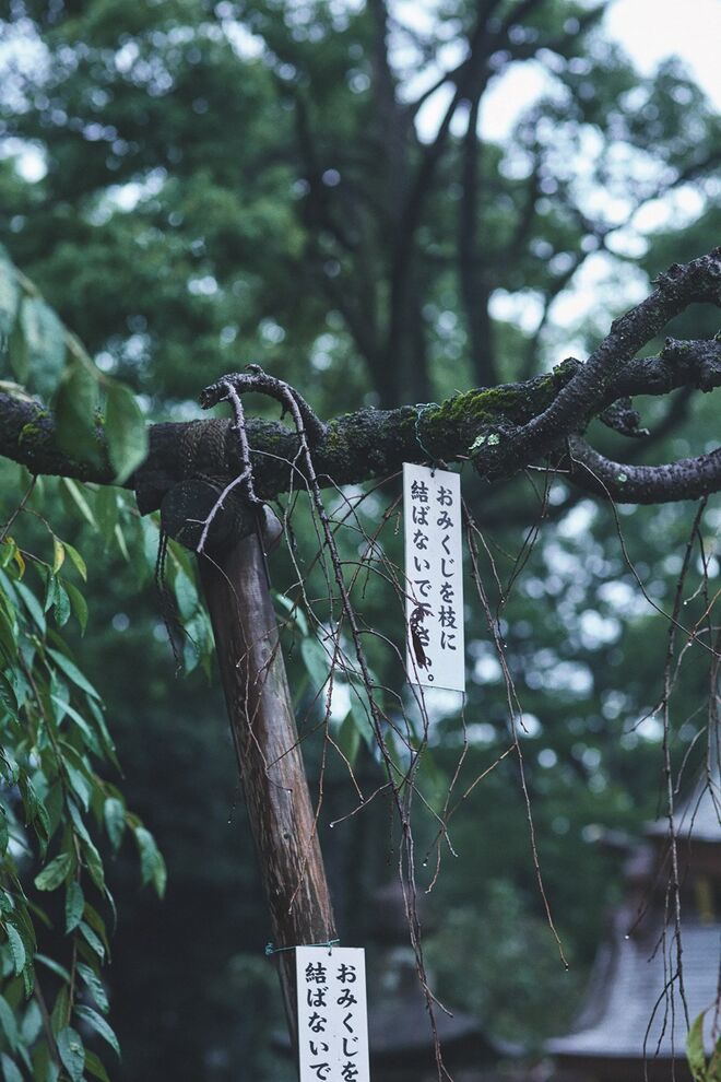 Mango Journeys: 3º capítulo com Alma Jodorowsky | Outono/Inverno 2016-2017