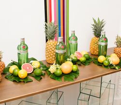 Os dez ícones que inspiram o Gin Tanqueray Nº10