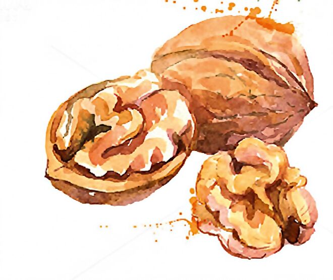 Noz | Para combater a gripe e não só...