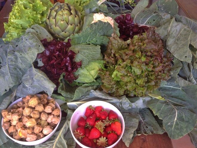  Associação Cozinha Popular da Mouraria