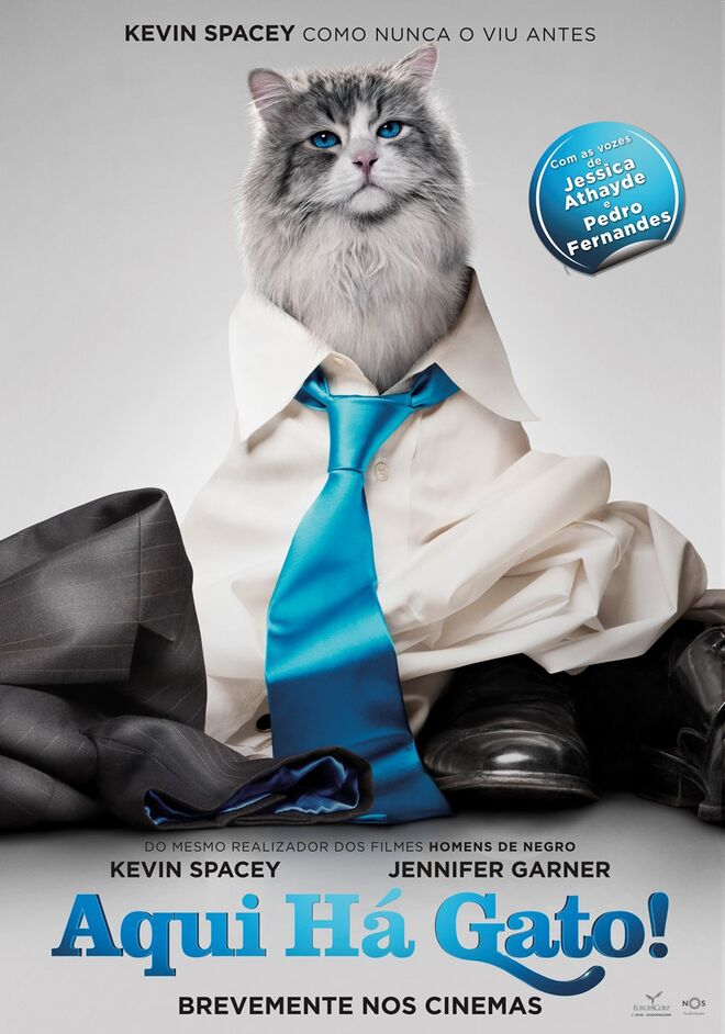 Aqui Há Gato!