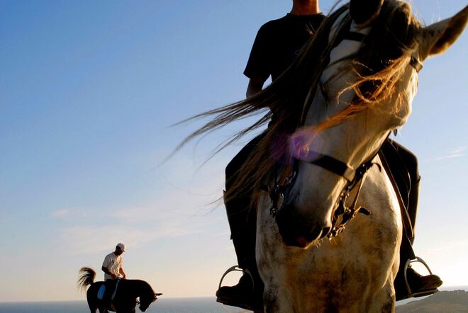 Andar a Cavalo junto à ilha do Pessegueiro | Um dos programas da Herdade do Pessegueiro é um passeio a cavalo, indicado tanto para quem já tenha andado ou para quem experimenta pela primeira vez. 