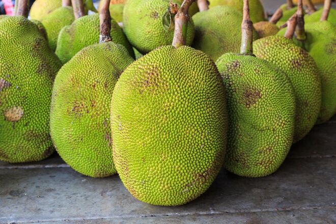 6.	Jackfruit | Depois de hambúrgueres vegetarianos que ‘sangravam’ como carne (uma tendência mais visível por terras do Tio Sam do que lusas mas, ainda assim, digamos, marcante), 2017 nasce como o ano das sandes veggie com sabor a… porco.