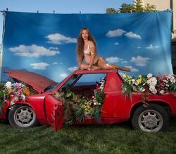 Beyoncé grávida de gémeos