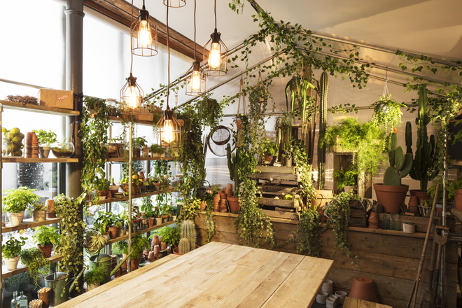 Outside In, a casa 'verde' que está para alugar no Airbnb, em Londres