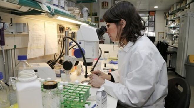 Ana Rita Marques, 36 anos (Instituto Gulbenkian de Ciência - IGC)