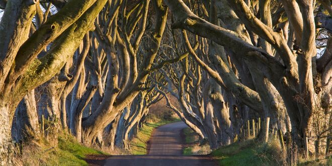 4. Dark Hedges, Irlanda, da série Game of Thrones