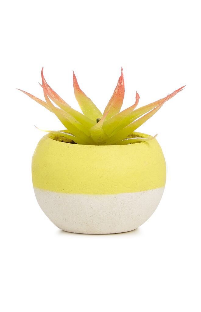 Planta (Preço sob Consulta)