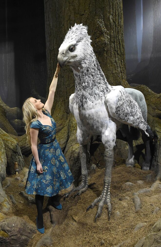 Evanna Lynch (Luna Lovegood em Harry Potter)