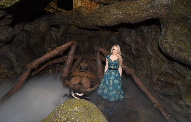 Evanna Lynch (Luna Lovegood em Harry Potter)