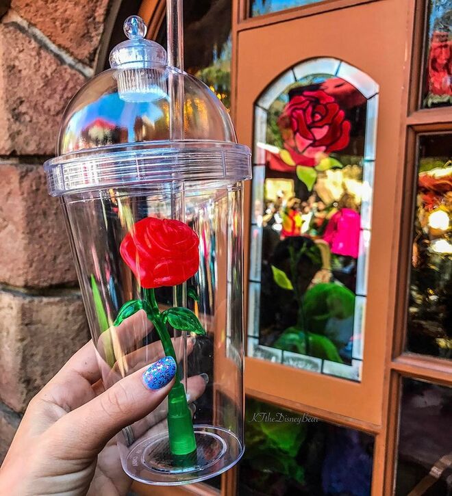 Disneyland Califórnia