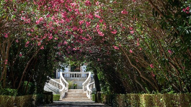 Jantar “à borla” na Quinta das Lágrimas