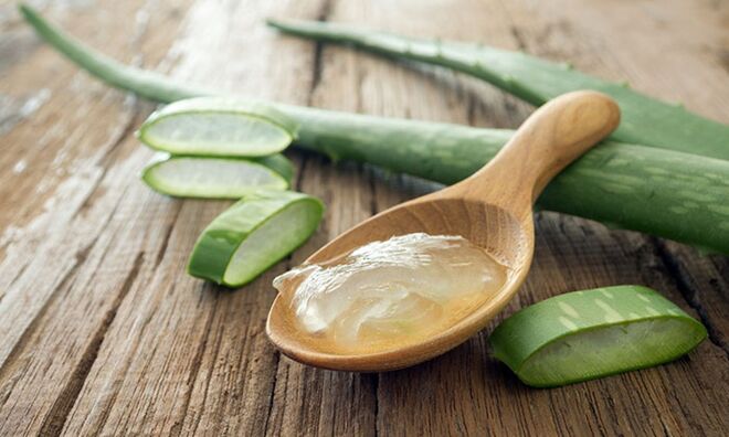  Aloe vera: “Cura tudo e é muito saudável. Toda a gente deveria ter em casa. Pode ser usada também como creme de beleza.”