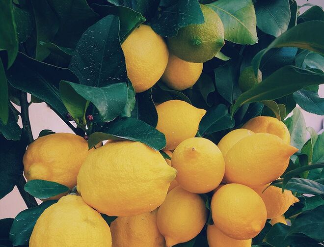 4.	Começar o dia com um copo de água morna com limão é a melhor alternativa de detox