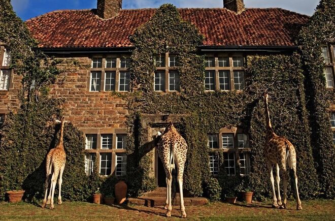 5. Giraffe Manor, Quénia
