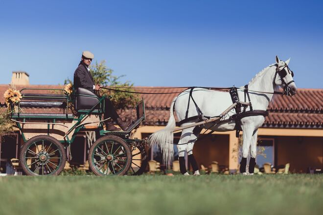 Vila Galé Clube Campo