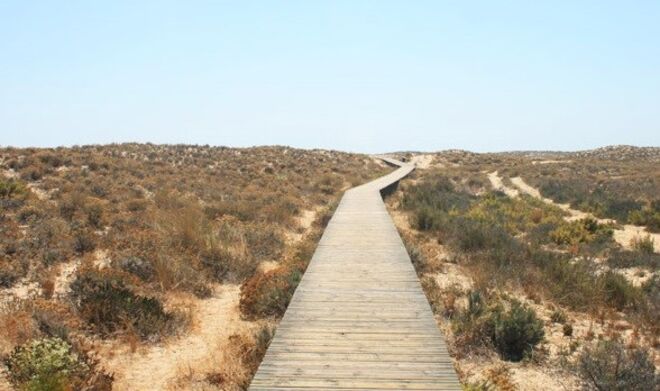 12. (Ponte da) lha da Culatra (Olhão)