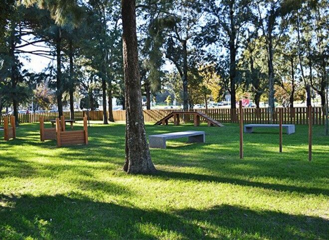 3. Divirta-se com o seu cão no DogPark do Campo Grande