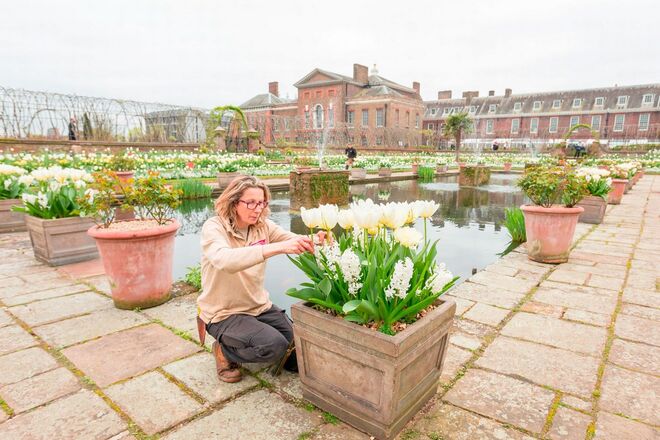 White Garden, Kensinton Palace