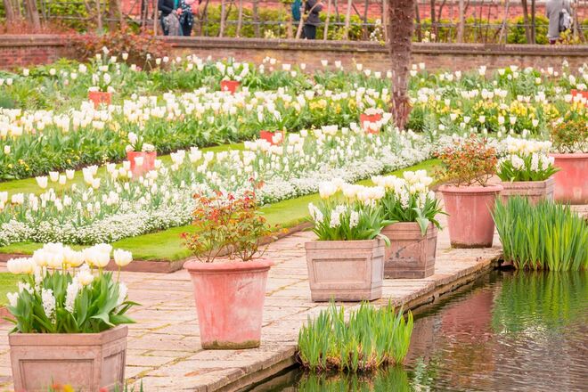 White Garden, Kensinton Palace