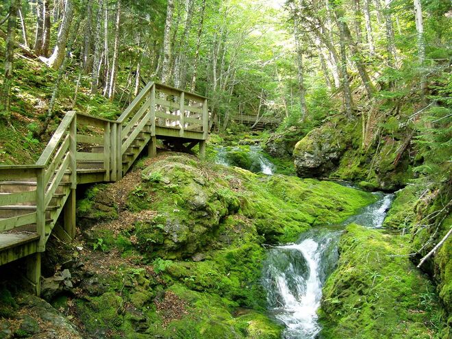Parque Nacional Fundy
