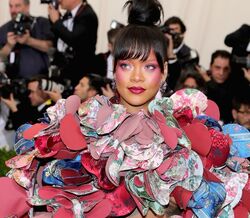 Met Gala 2017: os penteados