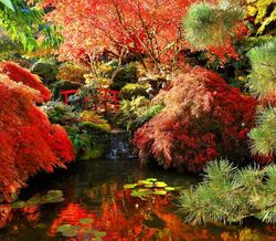 5 jardins de flores que parecem o paraíso