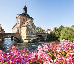 Bruise Automat, Berlim