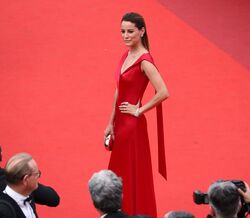 Cannes Film Festival 2017