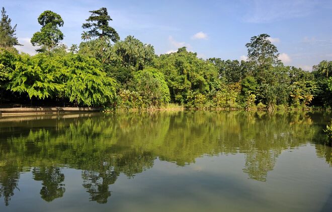 Jardim Botânico de Singapura, Singapura