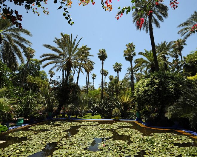 Jardins Majorelle, Marrocos